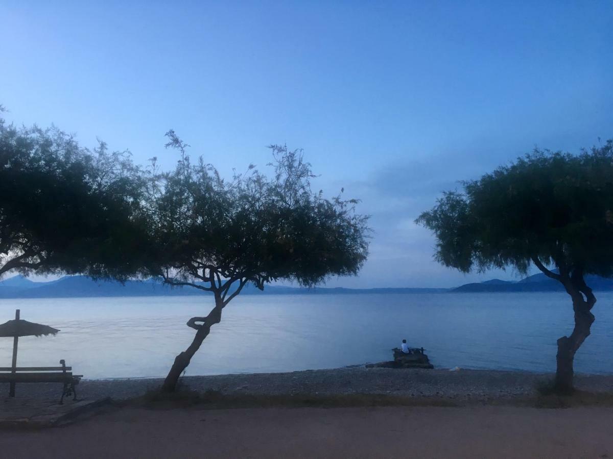 Eratous Seaside House Villa Agii Dimitrios ke Panteleimon Luaran gambar